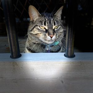 Meet your Posher, Jakob